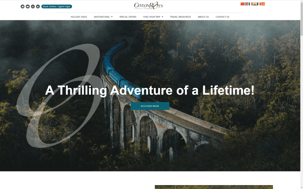 Weblook International | Software Development | Digital Marketing | Web Designing | Case Study Ceylon roots
