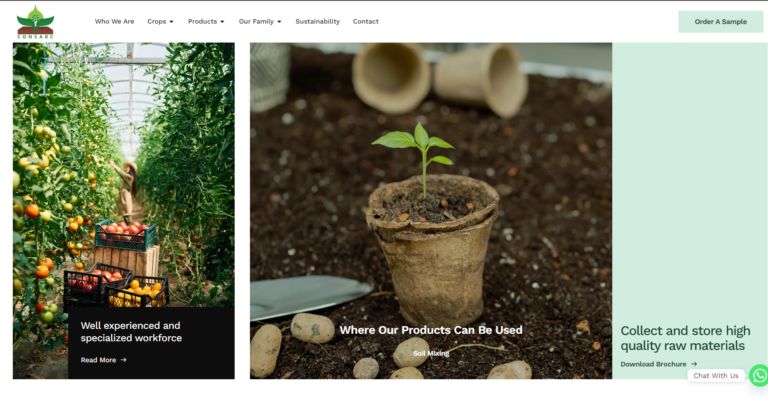 Weblook International | Software Development | Digital Marketing | Web Designing | Blogs